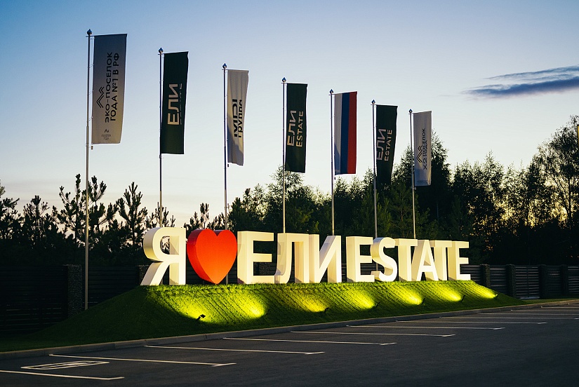 Хвойный лес